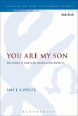 You Are My Son (eBook, PDF)