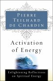 Activation of Energy (eBook, ePUB)