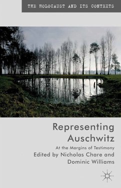 Representing Auschwitz (eBook, PDF)