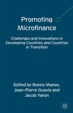Promoting Microfinance (eBook, PDF)