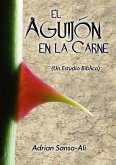 El Aguijón en la Carne