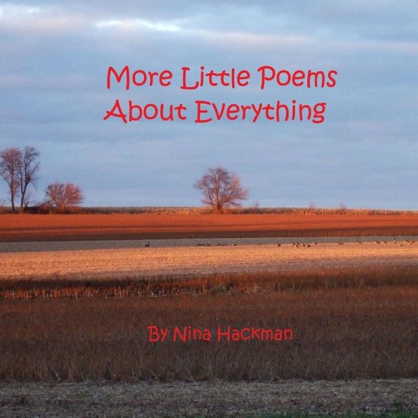 More Little Poems About Everything More Little Poems About Everything