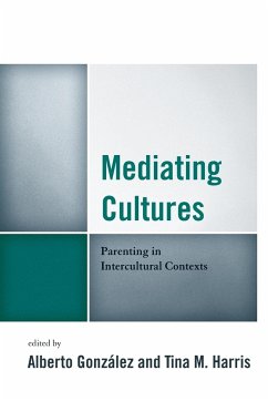 Mediating Cultures