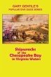 Shipwrecks of the Chesapeake Bay in... - Bild 1