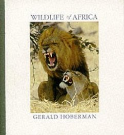 Wildlife of Africa: Booklet - Hoberman, Gerald; Theron, Roelien