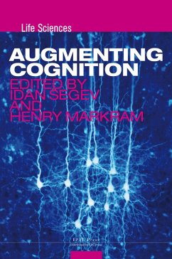 Augmenting Cognition (eBook, PDF) - Segev, Idan; Markram, Henry