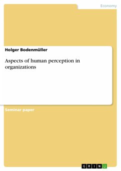 Aspects of human perception in organizations (eBook, PDF) - Bodenmüller, Holger