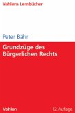 Grundzüge des Bürgerlichen Rechts (eBook, PDF)