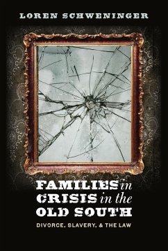 Families in Crisis in the Old South - Schweninger, Loren