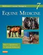 Robinson's Current Therapy in Equine... - Bild 1