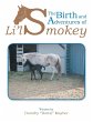 The Birth and Adventures of Lil Smokey - Bild 1