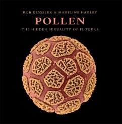 Pollen: The Hidden Sexuality of Flowers - Kesseler, Rob