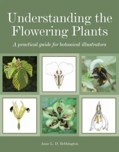 Cover Understanding the Flowering Plants