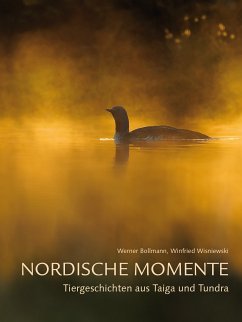 Nordische Momente (eBook, ePUB) - Bollmann, Werner