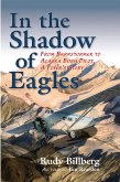 In the Shadow of Eagles (eBook, ePUB)