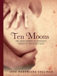 Cover Ten Moons (eBook, ePUB)