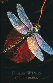 Glass Wings (eBook, ePUB)