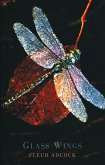Glass Wings (eBook, ePUB)