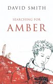 Searching For Amber (eBook, ePUB)