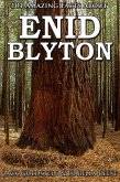101 Amazing Facts about Enid Blyton (eBook, ePUB)