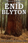 101 Amazing Facts about Enid Blyton (eBook, ePUB) 101 Amazing Facts about Enid Blyton (eBook, ePUB)