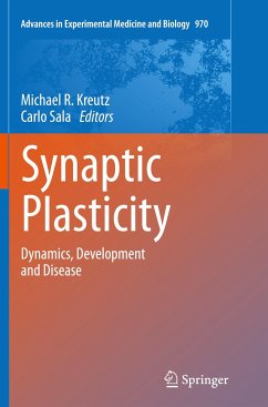 Synaptic Plasticity