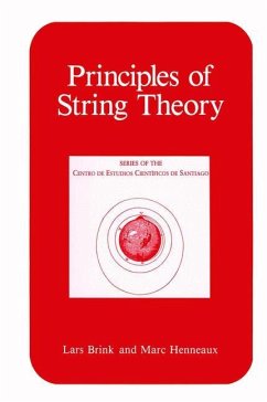 Principles of String Theory - Brink, Lars; Henneaux, Marc