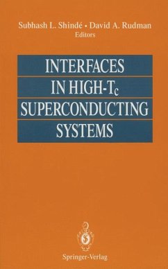 Interfaces in High-Tc Superconducting Systems