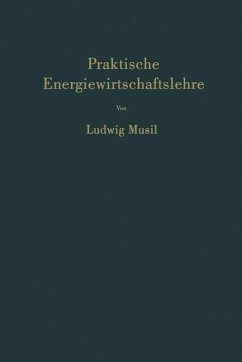 Praktische Energiewirtschaftslehre - Musil, Ludwig