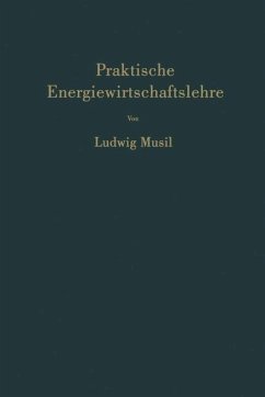 Praktische Energiewirtschaftslehre