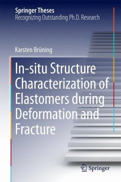 In-situ Structure Characterization of Elastomers during Deformation and Fracture - Brüning, Karsten