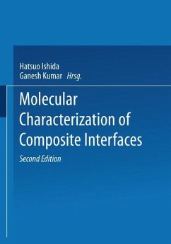 Molecular Characterization of Composite Interfaces - Rubinowicz, Adalbert von