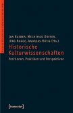 Historische Kulturwissenschaften (eBook, PDF)