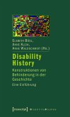 Disability History (eBook, PDF)