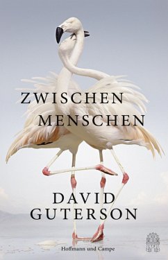 Zwischen Menschen (eBook, ePUB) - Guterson, David