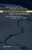 Zwischenräume der Migration (eBook, PDF)