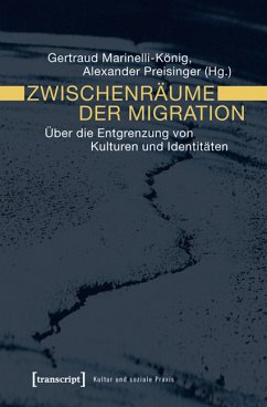 Zwischenräume der Migration (eBook, PDF)