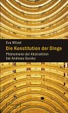 Die Konstitution der Dinge (eBook, PDF)