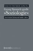 Georg Simmels große »Soziologie« (eBook, PDF)