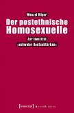 Der postethnische Homosexuelle (eBook, PDF)