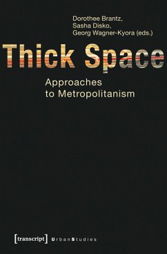 Thick Space (eBook, PDF)