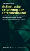 Ästhetische Erfahrung der Intermedialität (eBook, PDF)