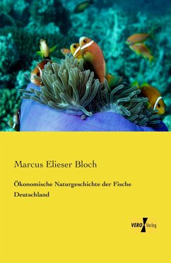 Ökonomische Naturgeschichte der Fische Deutschland - Bloch, Marcus Elieser