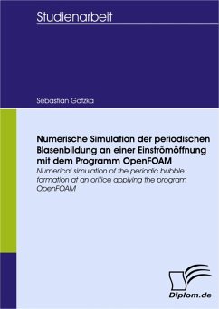 Numerische Simulation der periodischen Blasenbildung an einer Einströmöffnung mit dem Programm OpenFOAM (eBook, PDF) - Gatzka, Sebastian