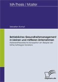 Betriebliches Gesundheitsmanagement in kleinen und mittleren Unternehmen: Netzwerktheoretische Konzeption am Beispiel der Wirtschaftsregion Konstanz (eBook, PDF)