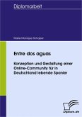 Entre dos aguas - Konzeption und Gestaltung einer Online-Community für in Deutschland lebende Spanier (eBook, PDF)