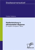 Stadtentwicklung in altindustriellen Regionen (eBook, PDF)