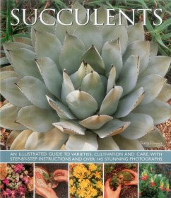 Cover Succulents