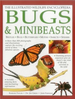The Illustrated Wildlife Encyclopedia: Bugs & Minibeasts - Taylor Barbara