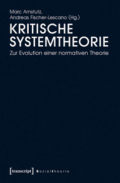 Kritische Systemtheorie (eBook, PDF)